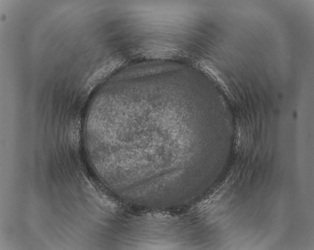 X0000089970586200707131425