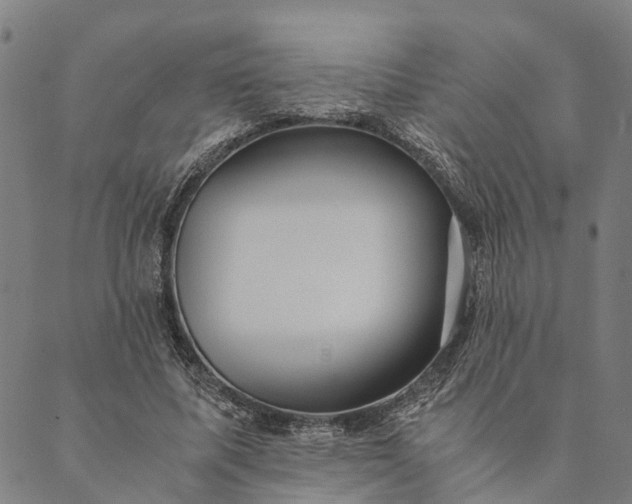 X0000089970587200707131425