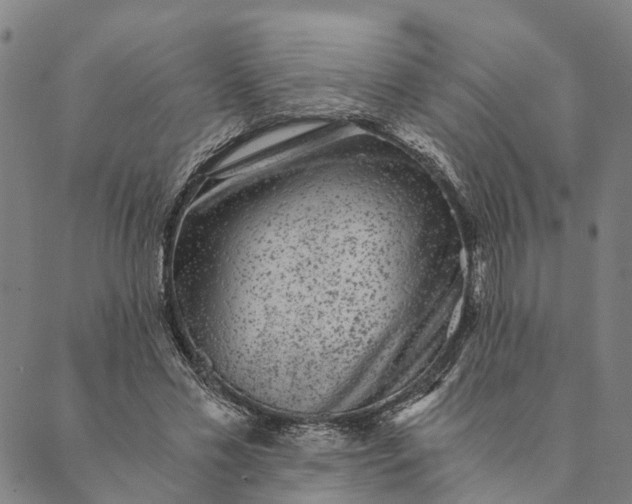 X0000089970589200707131425