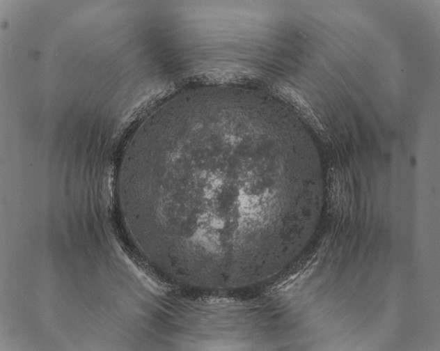 X0000089970590200707131425