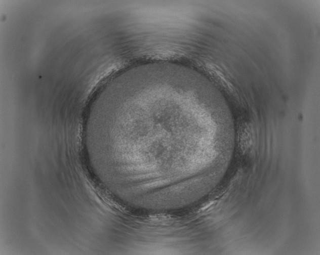 X0000089970591200707131425