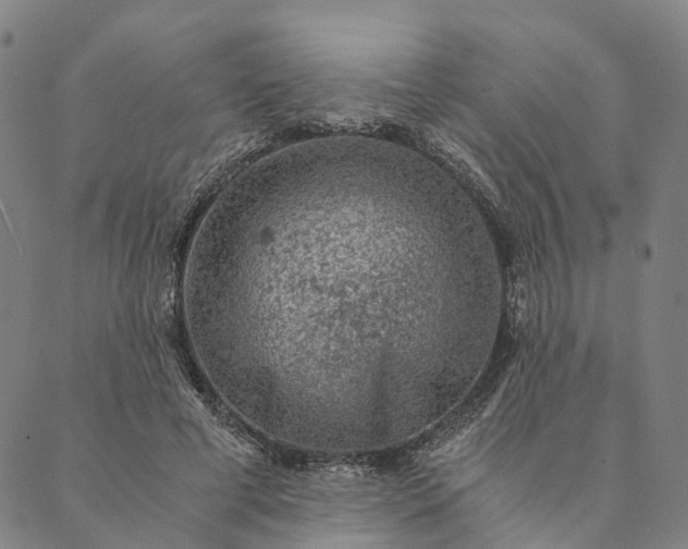 X0000089970593200707131425