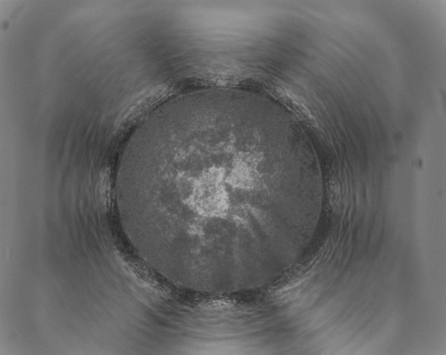 X0000089970594200707131425