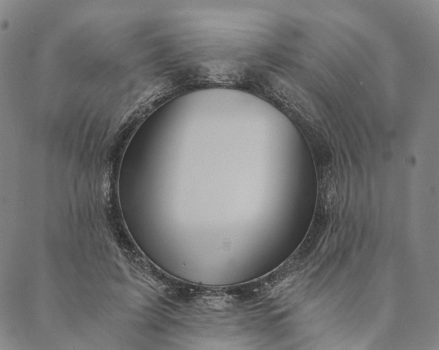 X0000089970595200707131425