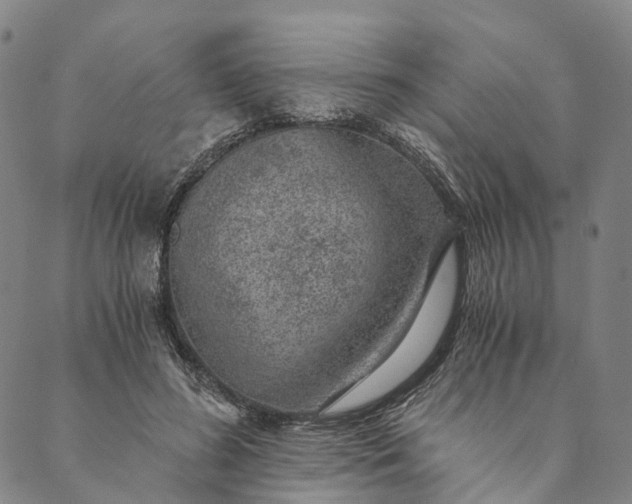 X0000089970596200707131425