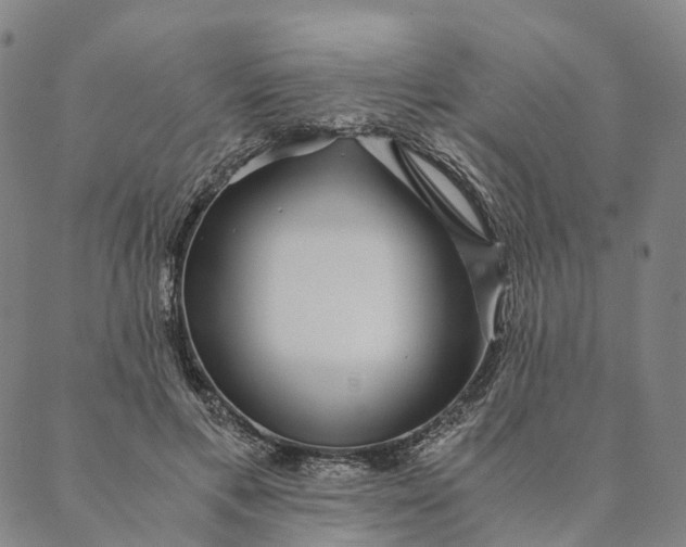 X0000089970597200707131425