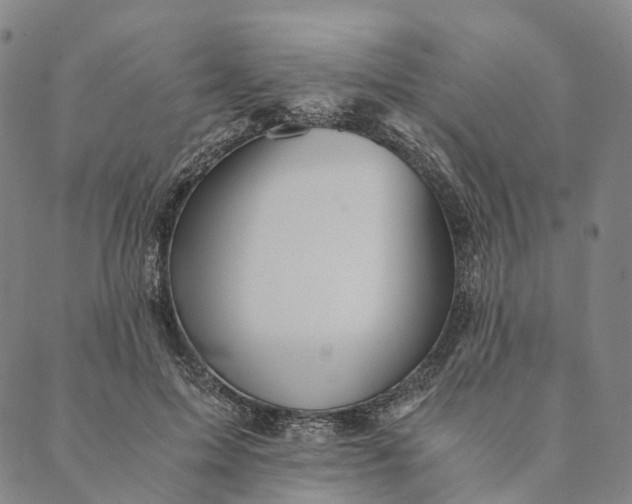 X0000089970599200707131425