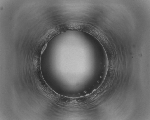 X0000089970600200707131425