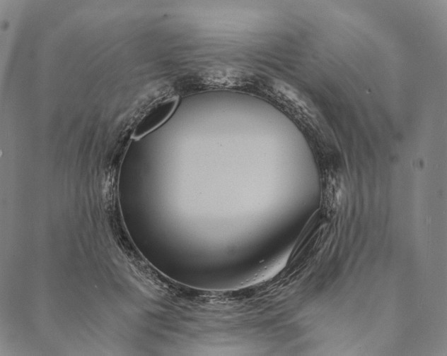 X0000089970601200707131425