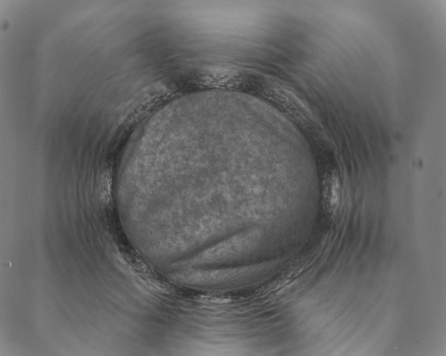 X0000089970602200707131424