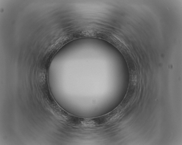 X0000089970603200707131424