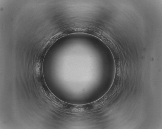 X0000089970604200707131424