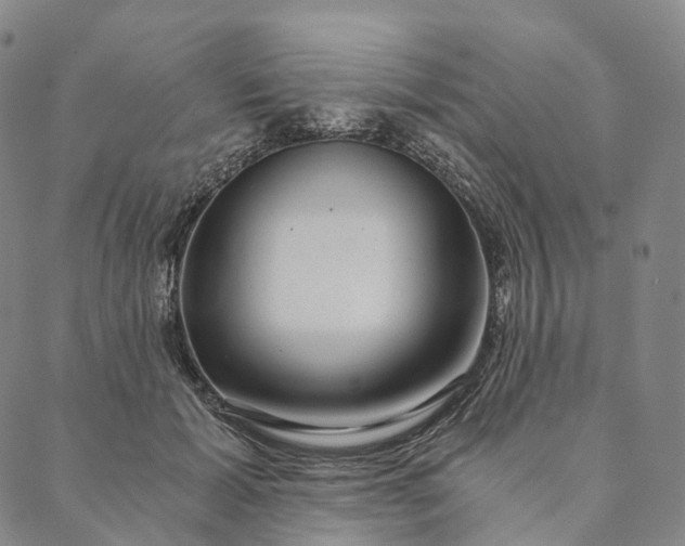 X0000089970605200707131424