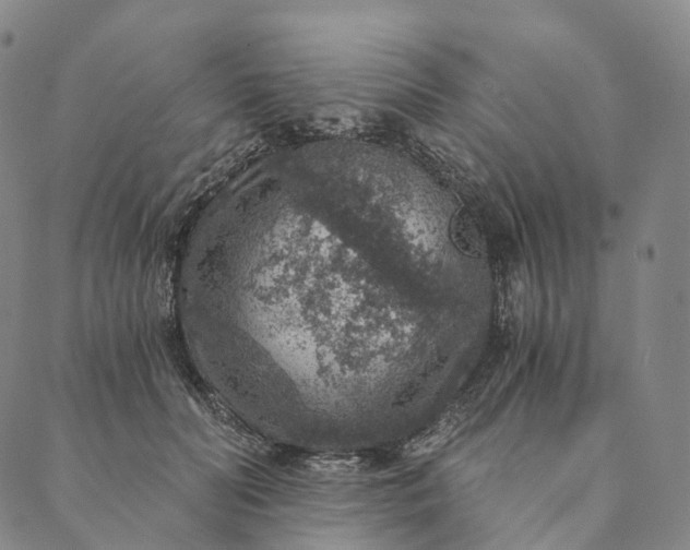 X0000089970606200707131424