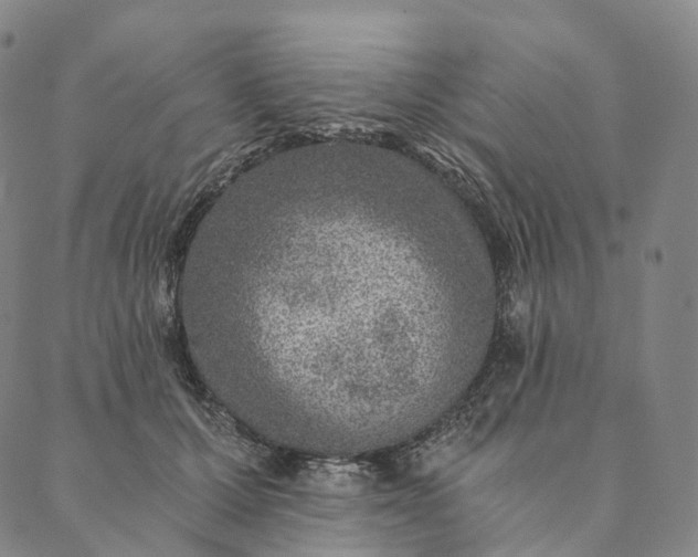 X0000089970607200707131424