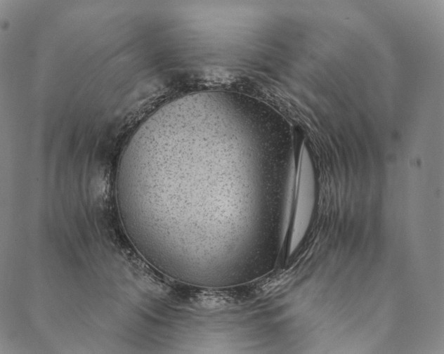 X0000089970608200707131424