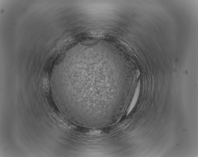 X0000089970609200707131424