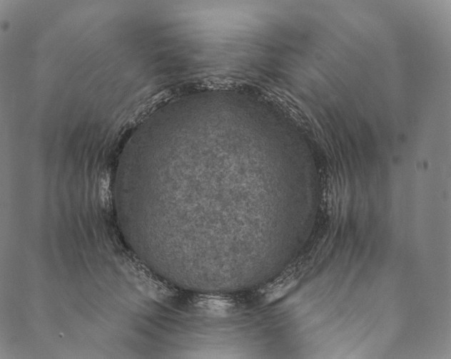 X0000089970610200707131424