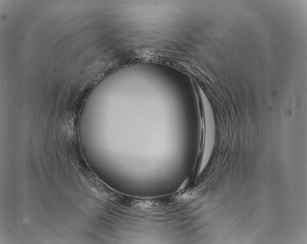 X0000089970611200707131424