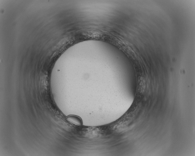 X0000089970612200707131424