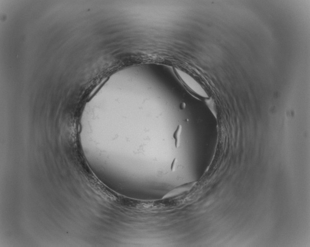 X0000089970613200707131424