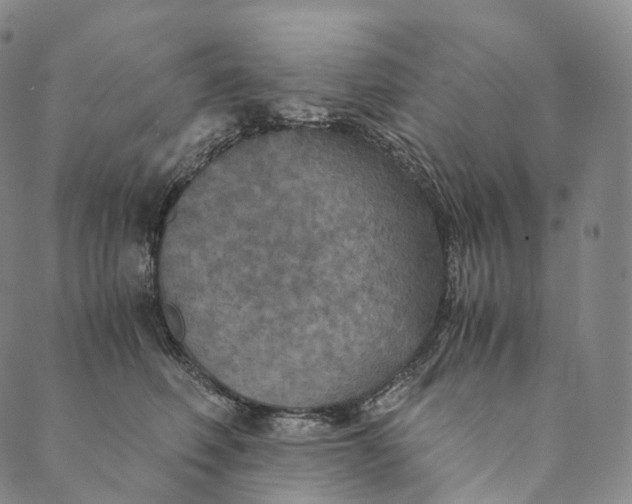 X0000089970614200707131424