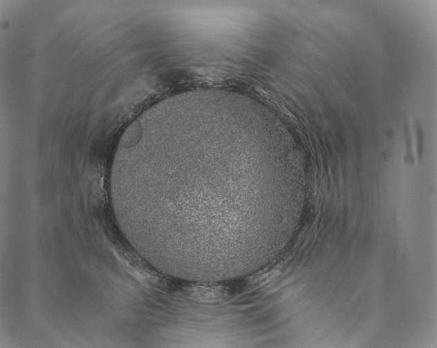 X0000089970615200707131424