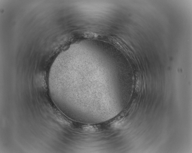 X0000089970616200707131424