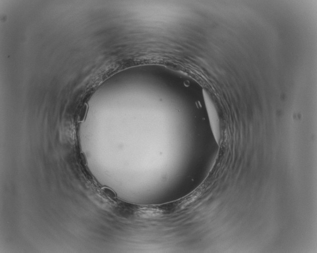 X0000089970617200707131424