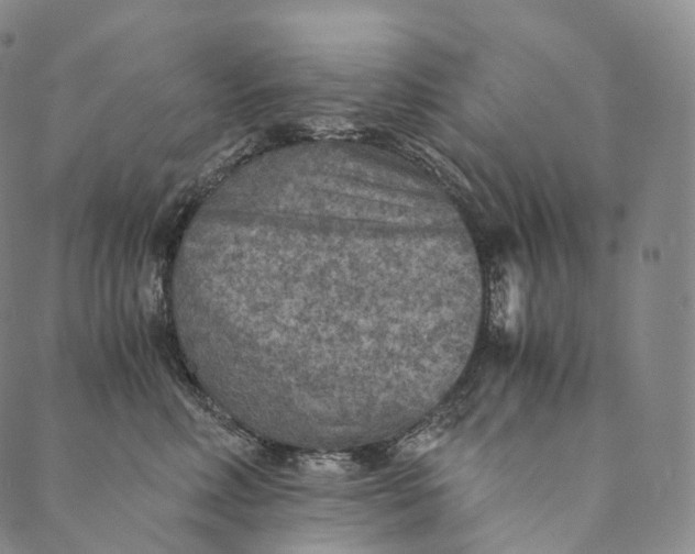 X0000089970618200707131424