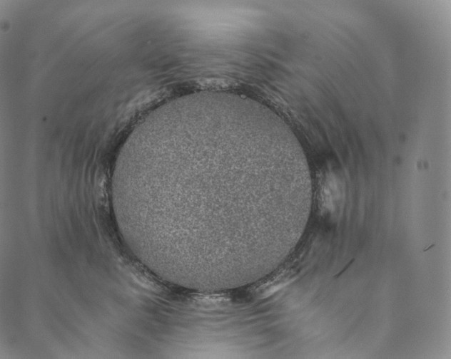 X0000089970619200707131424