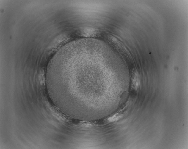 X0000089970620200707131424