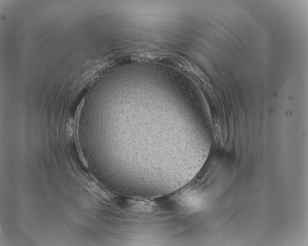 X0000089970621200707131424