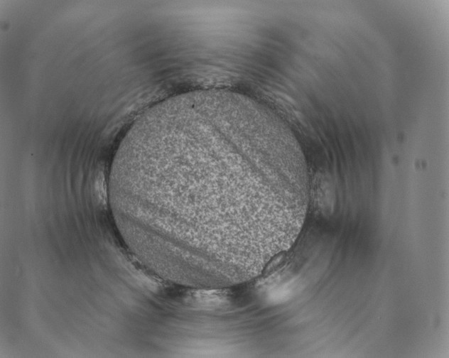 X0000089970622200707131424