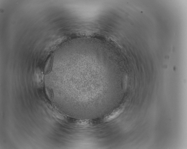 X0000089970624200707131424