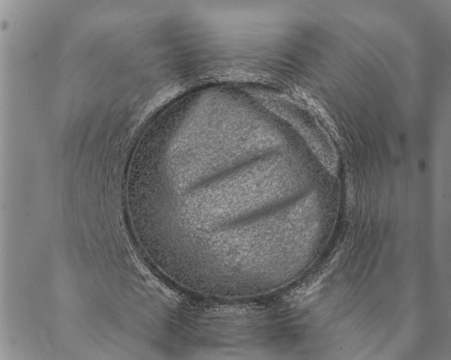 X0000089970625200707131423