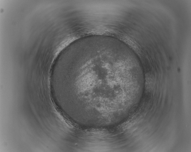 X0000089970626200707131423