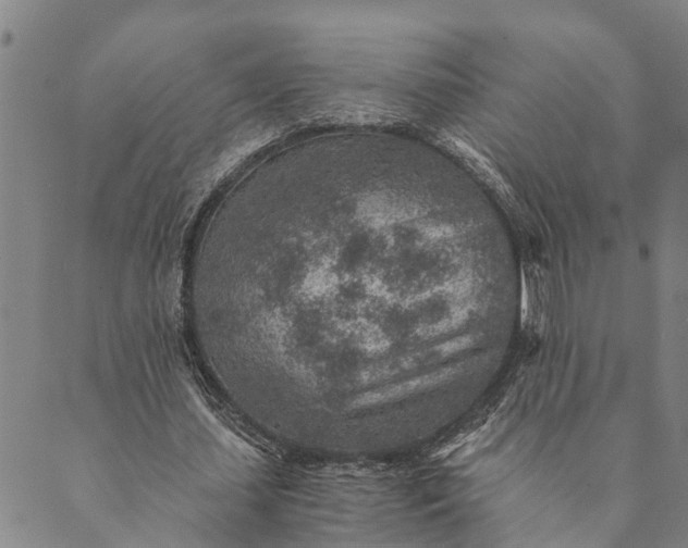 X0000089970627200707131423