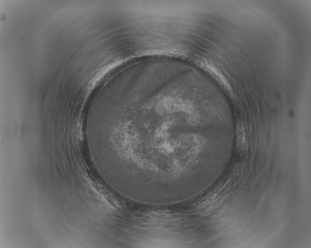 X0000089970628200707131423