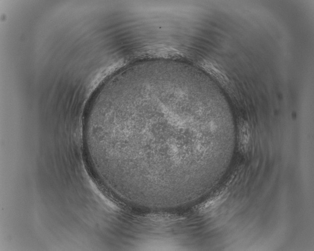 X0000089970630200707131423