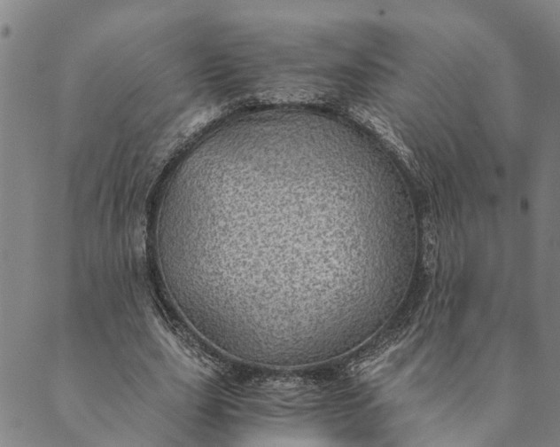 X0000089970631200707131423