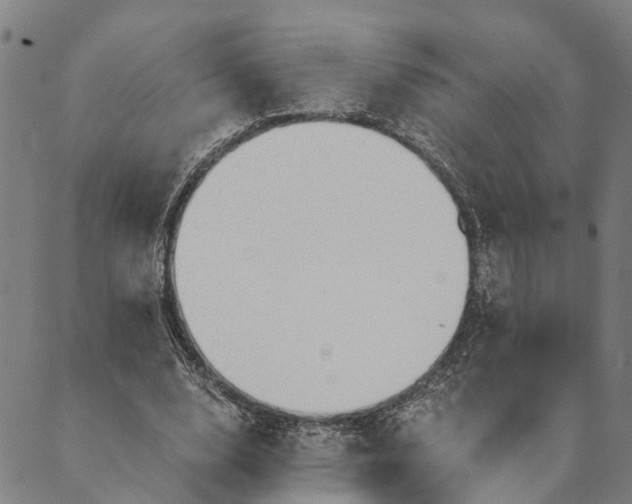 X0000089970632200707131423