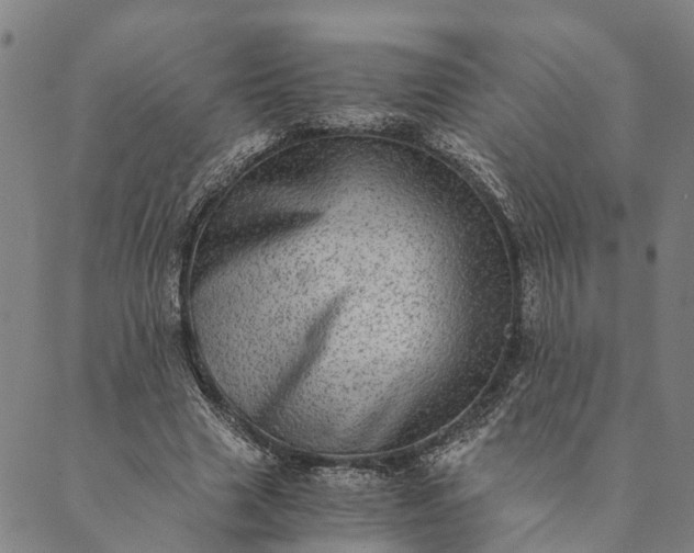 X0000089970633200707131423