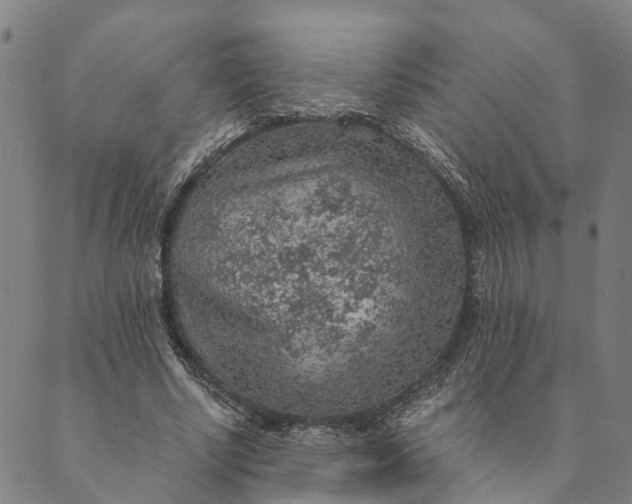 X0000089970634200707131424