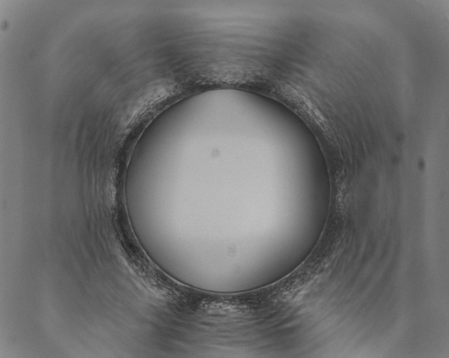 X0000089970635200707131424