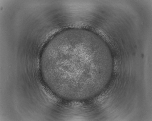 X0000089970636200707131424