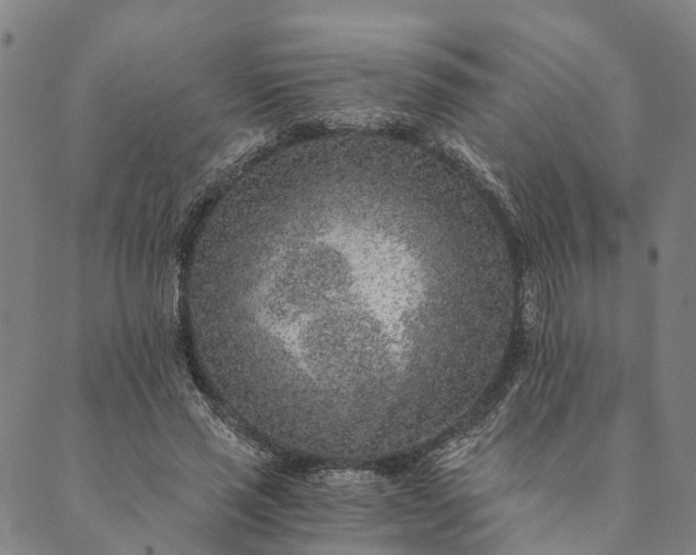 X0000089970637200707131424