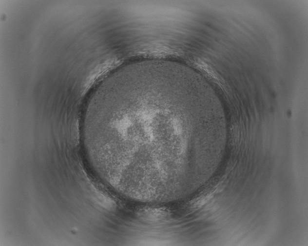 X0000089970638200707131424