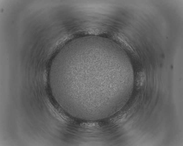 X0000089970639200707131424