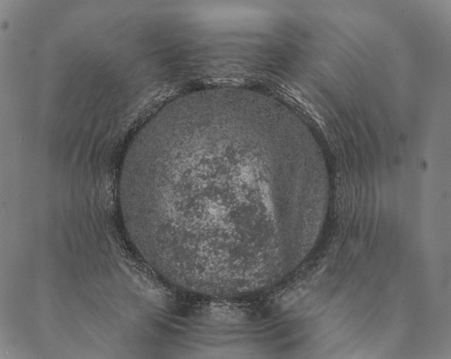 X0000089970641200707131424